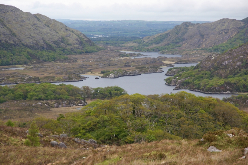 Countryside Ireland 12.jpg
